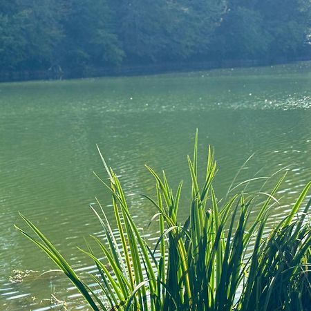 Lac De Lumiere. Relax With Rural Lakeside Living Herry Εξωτερικό φωτογραφία